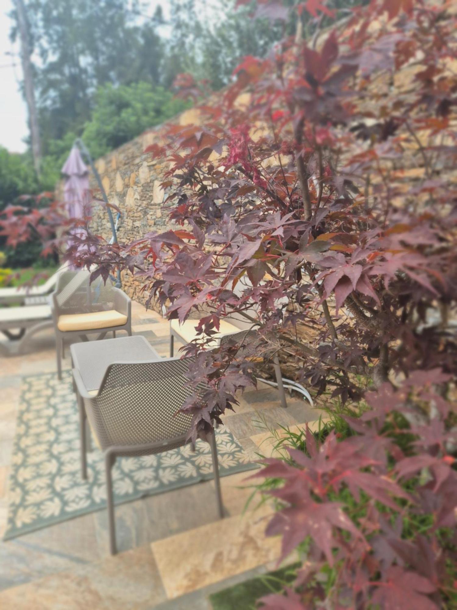 Rez De Villa Avec Piscine Privee, Wifi, Jardin Cloture Penta di Casinca Kültér fotó